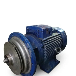 Heavy Duty Flange-Mounted Pump Motor with Impeller (Imported)